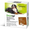 Antiparazitika Drontal Dog Flavour XL 525 504 175mg pro psy 2 tablety