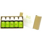 Hanscraft 100% BIO aroma esence kolekce 2 5x mix esenciálních vonných olejů 11 ml – Zbozi.Blesk.cz