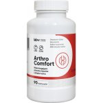 Lab V Arthro Comfort Komplexní podpora zdraví kloubů a pohybového aparátu pro psy a kočky 90 kapslí – Hledejceny.cz