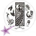 Starnails Razítkovací destička JQ16 Pávi – Zboží Dáma