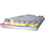 Hator Gravity TKL HTK561 – Zboží Mobilmania