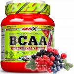 Amix BCAA Micro Instant Juice 500 g – Hledejceny.cz