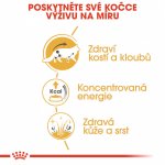 Royal Canin Mainecoon 12 x 85 g – Sleviste.cz