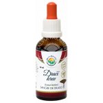 Dračí krev Croton lechleri kapky 50 ml – Hledejceny.cz