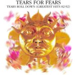 Tears For Fears - Tears Roll Down - Greatest Hits 82-92 CD – Hledejceny.cz