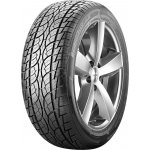 Nankang SP-7 225/55 R19 99V – Hledejceny.cz