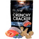 Profine Dog Crunchy Cracker Salmon enriched with Blueberries 150 g – Hledejceny.cz