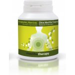 Chioska Masticha 350 mg 90 kapslí – Hledejceny.cz