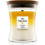 WoodWick Trilogy Fruits of Summer 275 g – Sleviste.cz