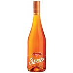 Avanti Spritz 0,75 l (holá láhev) – Zboží Dáma