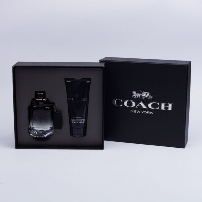 Coach toaletní voda pánská 60 ml – Zboží Mobilmania