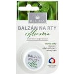 Regina Balzám na rty aloe vera 3,3 g – Hledejceny.cz