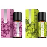 Energy vonný olej Geranium 10 ml – Zboží Mobilmania