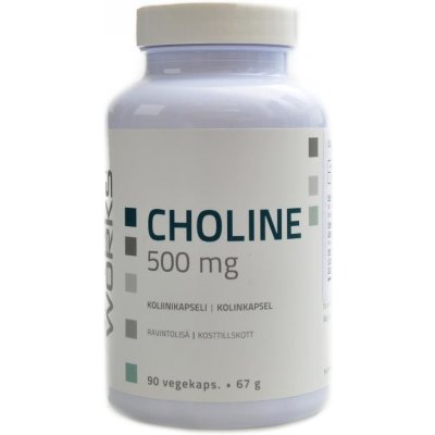 Choline 500mg 90 kapslí