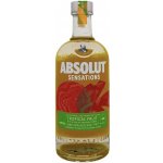 Absolut Sensation 20% 0,7 l (holá láhev) – Hledejceny.cz