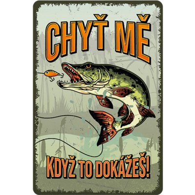 Nekupto Plechová cedule Chyť mě, když to dokážeš Bu20034 – Hledejceny.cz