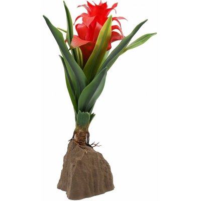 Lucky Reptile bromelie červená 30 cm – Zboží Dáma