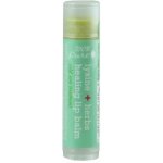 100% Pure Balzám na rty Lysin a bylinky 4,25 g – Zboží Dáma