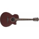 Ibanez AE100 – Zboží Dáma Ibanez AE100 – Zboží Dáma