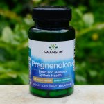Swanson Pregnenolone 50 mg 60 kapslí – Hledejceny.cz