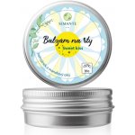 Semante by Naturalis Sweet kiss Bio balzám na rty s heřmánkem 30 ml – Zbozi.Blesk.cz