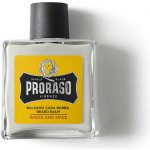 Proraso Wood & Spice balzám na vousy 100 ml – Sleviste.cz
