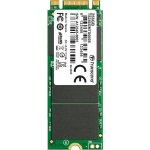 Transcend MTS600 256GB, M.2 SSD SATA, III MLC, TS256GMTS600S – Hledejceny.cz