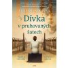 Elektronická kniha Dívka v pruhovaných šatech - Ellie Midwoodová