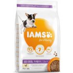 Iams Dog Senior Small & Medium s kuřecím masem 3 kg – Hledejceny.cz