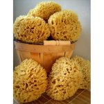 Naturgreen přírodní mycí mořská houba 16-17 cm – Zboží Dáma
