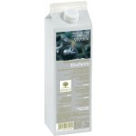 Ravifruit Ovocné pyré Borůvka 1 kg – Sleviste.cz