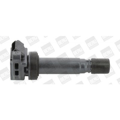 Zapalovací cívka BorgWarner (BERU) ZSE180 – Hledejceny.cz