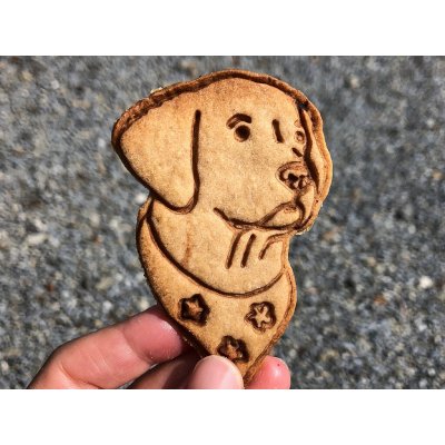 TVOŘÍTKO Labrador X - vykrajovátko – Hledejceny.cz