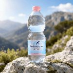 San Benedetto Naturale 0,5 l – Hledejceny.cz