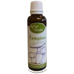 Serafin Žampion tinktura z bylin 50 ml – Hledejceny.cz