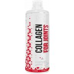 MST Nutrition Collagen for Joints 1000 ml ananas – Hledejceny.cz