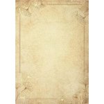 Galeria Papieru Diplom A4 motiv Ginkgo 190 g/m2 20 ks – Zboží Dáma