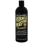 Chris Christensen Rozčesávací šampon Ice on Ice s arganovým 473 ml – HobbyKompas.cz