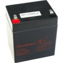 Olověná baterie Alarmguard 12V 4,5Ah CJ12-4,5