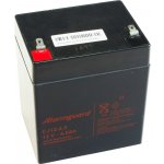 Alarmguard 12V 4,5Ah CJ12-4,5 – Zboží Živě