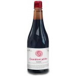 Bornature Výtažek z 16 kg granátového jablka 1 kg – Hledejceny.cz
