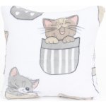 MKLuzkoviny.cz mikroplyš Exclusive Kočičky v kapse 40 x 40 cm – Zboží Dáma