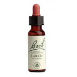 Bachovy květové esence Modřín opadavý Larch 20 ml – Hledejceny.cz