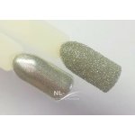 NL nails professional GLITTER POWDER 3g – Hledejceny.cz
