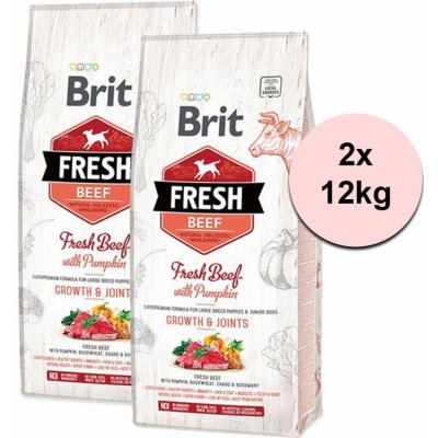 Brit Fresh Beef with Pumpkin Puppy Large 2 x 12 kg – Hledejceny.cz