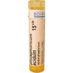 PHOSPHORICUM ACIDUM POR 15CH GRA 4G – Hledejceny.cz