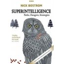 Superintelligence