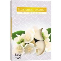 Bispol Aura Blooming Jasmine 6 ks