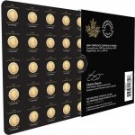 Royal Canadian Mint zlatá mince Maple Leaf Maplegram 25 x 1 g – Zboží Mobilmania