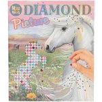 Miss Melody Kreativní obrázky s kamínky Miss Melody Diamond Picture – Hledejceny.cz